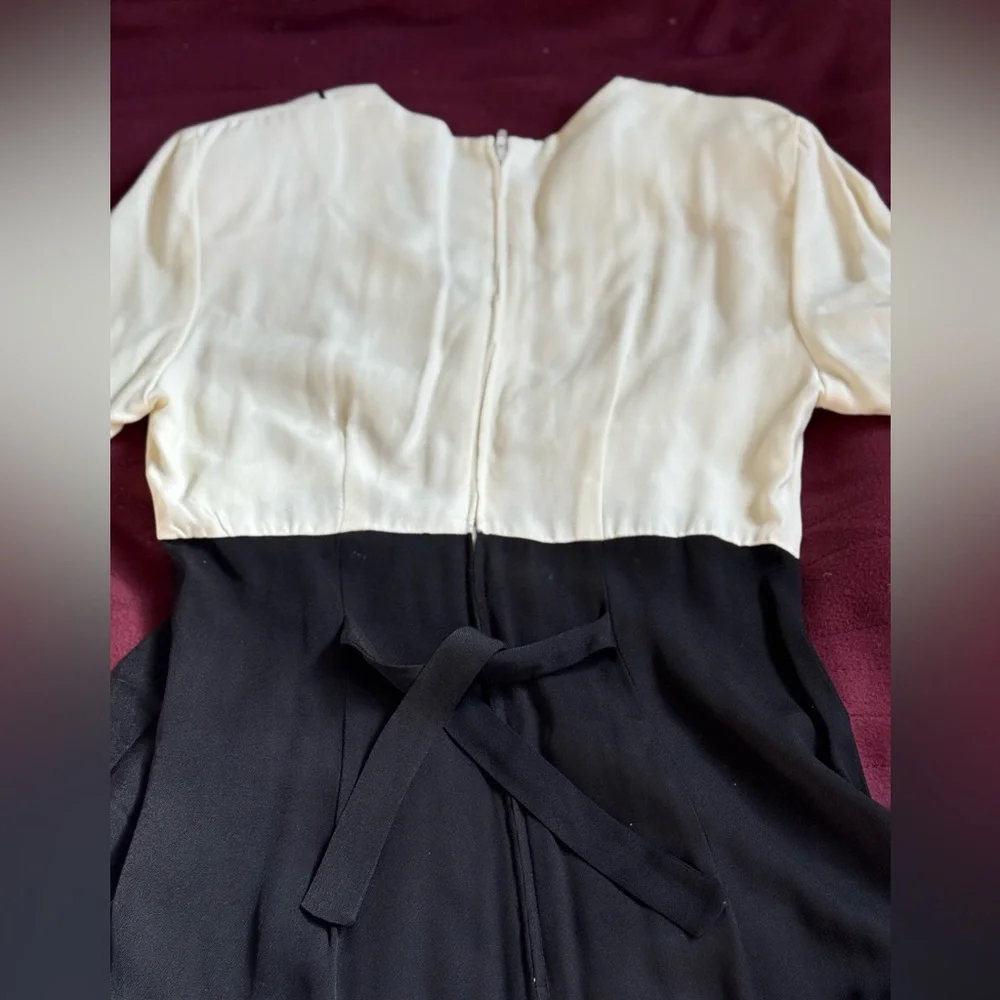 Vintage Elegant Black and White Dress - Picture 5 of 11